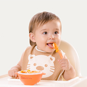 推不翻的吸盘碗